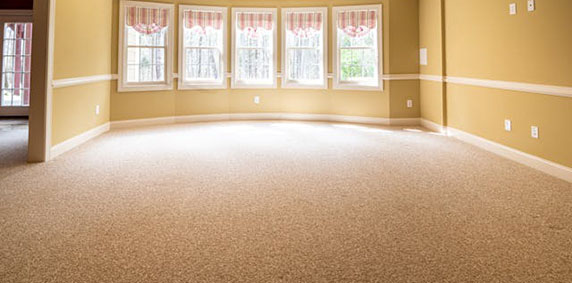 Empty room featuring yellow walls and carpeting, creating a bright and inviting atmosphere.